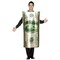 The Costume Center Beige and Green Adult Men Bill 100 Dollar Halloween Costume - One Size